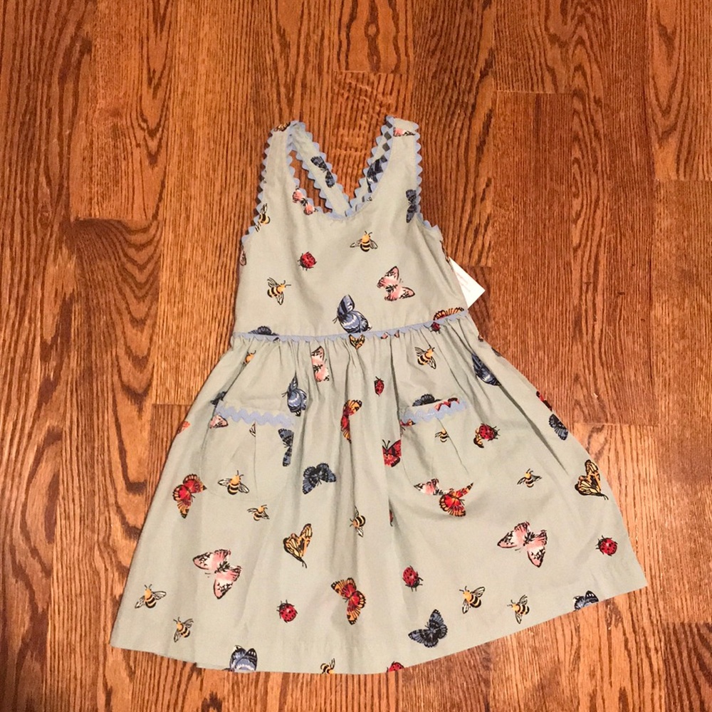 Hanna Andersson butterfly dress